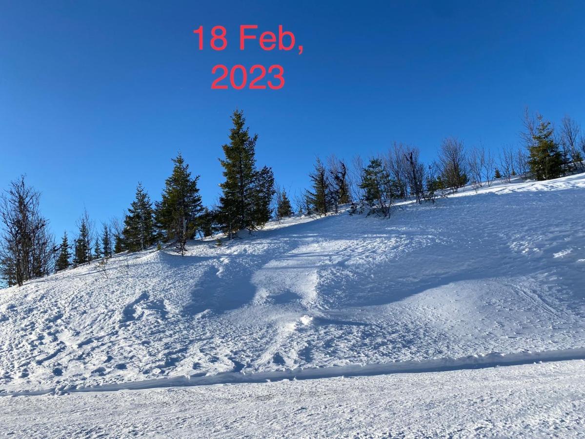 Perfect Moutain Getaway! Beautiful Apartment At Skagahogdi With Panoramic View Gol Zewnętrze zdjęcie