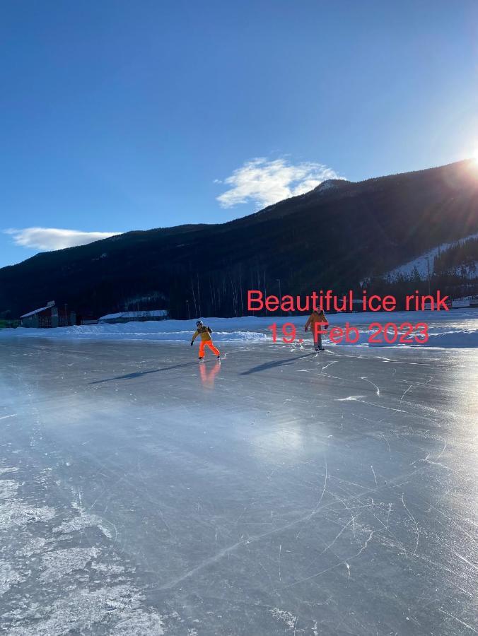 Perfect Moutain Getaway! Beautiful Apartment At Skagahogdi With Panoramic View Gol Zewnętrze zdjęcie