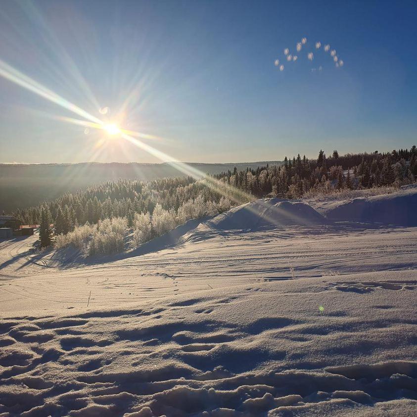 Perfect Moutain Getaway! Beautiful Apartment At Skagahogdi With Panoramic View Gol Zewnętrze zdjęcie